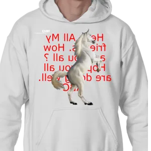 aaa