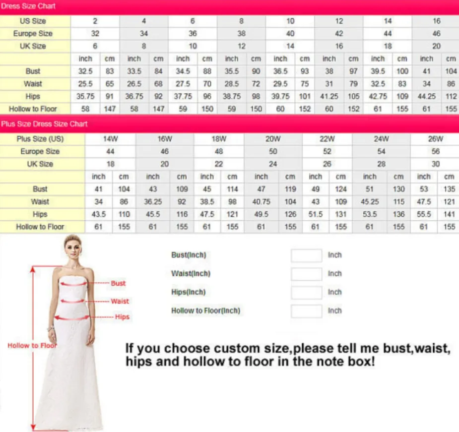 Anneprom A-Line Bateau Long Sleeves Black Lace Asymmetrical Plus Size Prom Dresses APP0347