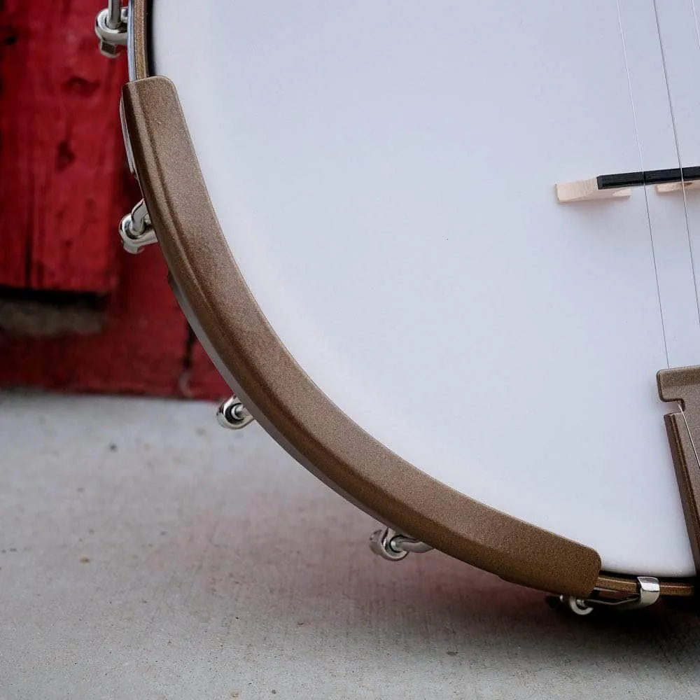 Beginner Banjo Package - Deering Goodtime Banjo