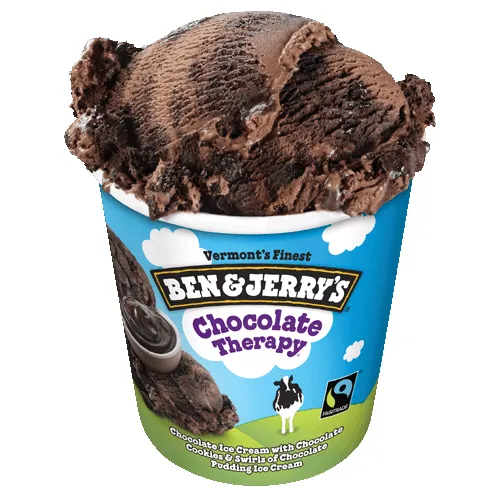 Ben & Jerry's Chocolate Therapy (Pint)