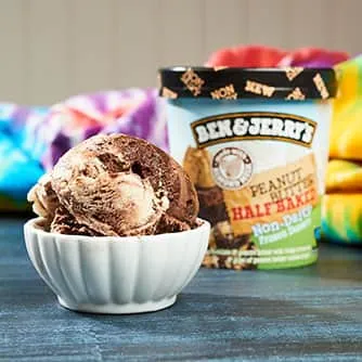 Ben & Jerry's - Non Dairy Peanut Butter Half Baked (Pint)