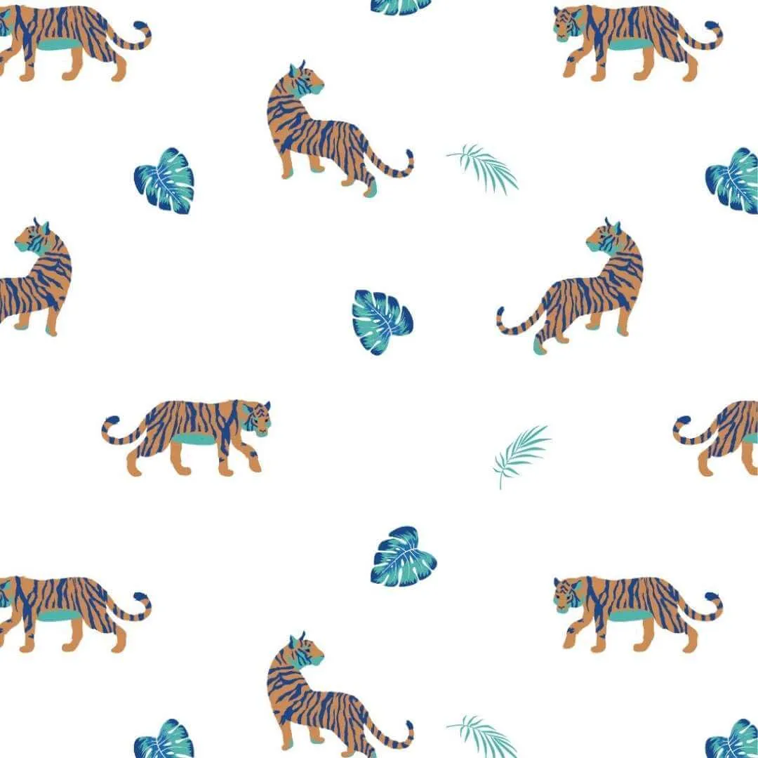 Bengal | Snap Footie