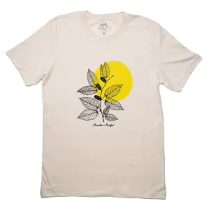 Birch Sun T-Shirt