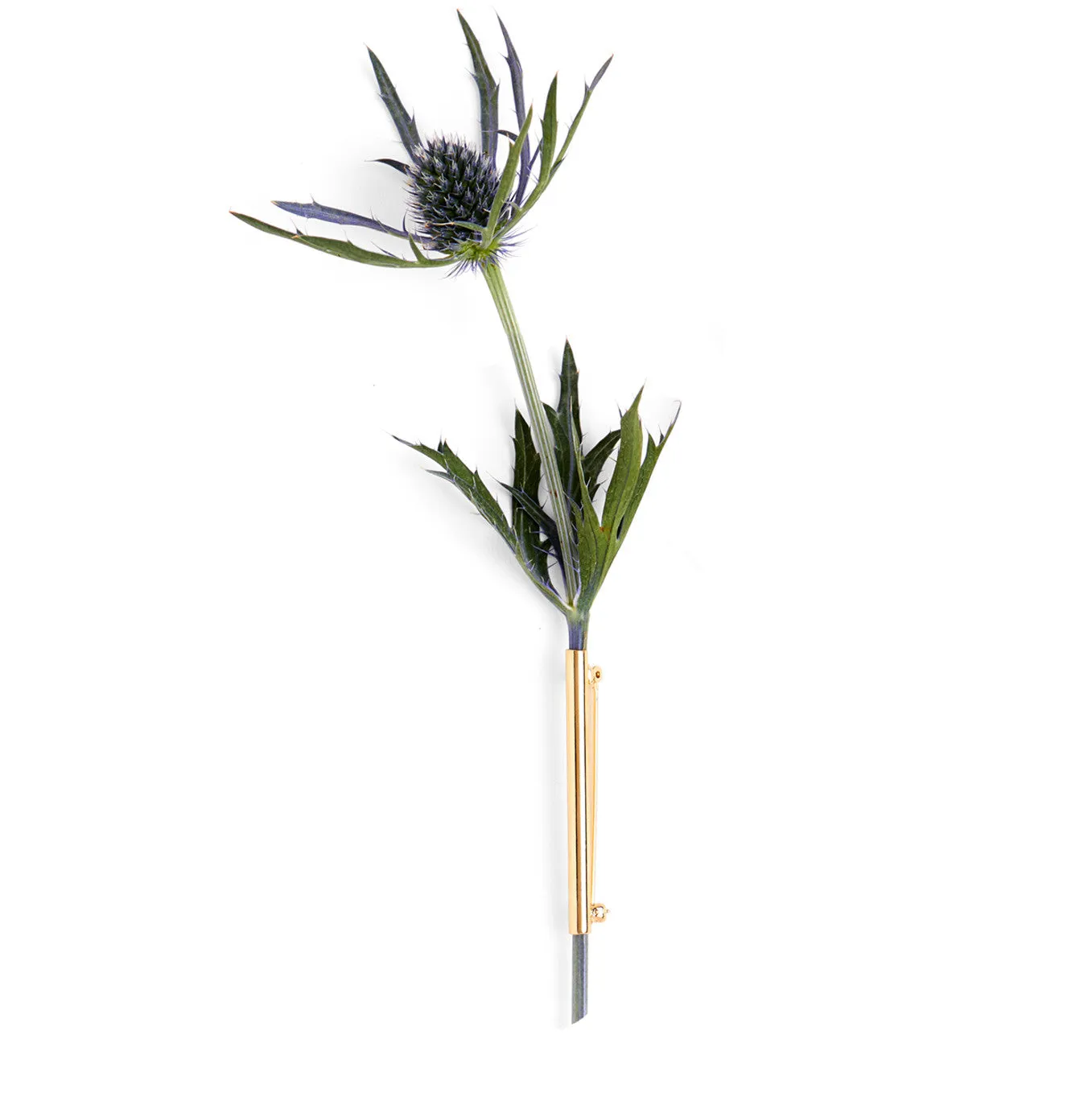 Botanical Brooch- Gold Composition 4