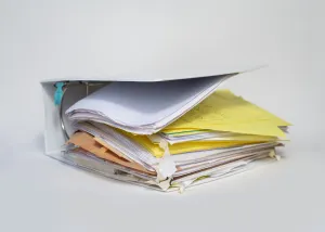 Bryan Ellingson, "Accompanying Data"