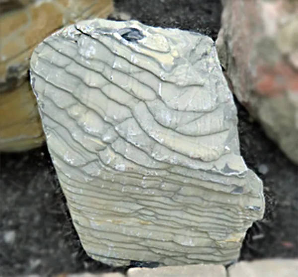Bubble Rock 32 Metamorphic (Small)