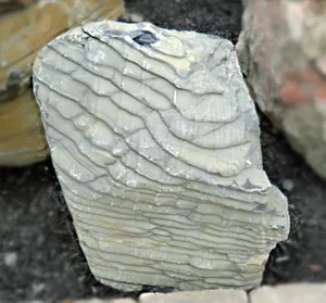 Bubble Rock 32 Metamorphic (Small)
