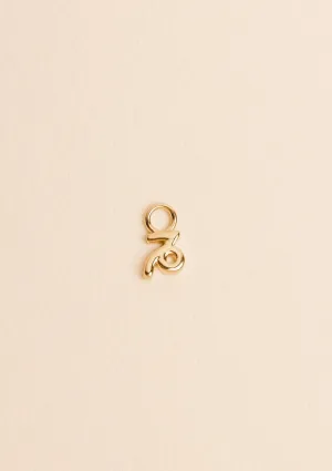 Charms Zodiaque Capricorne