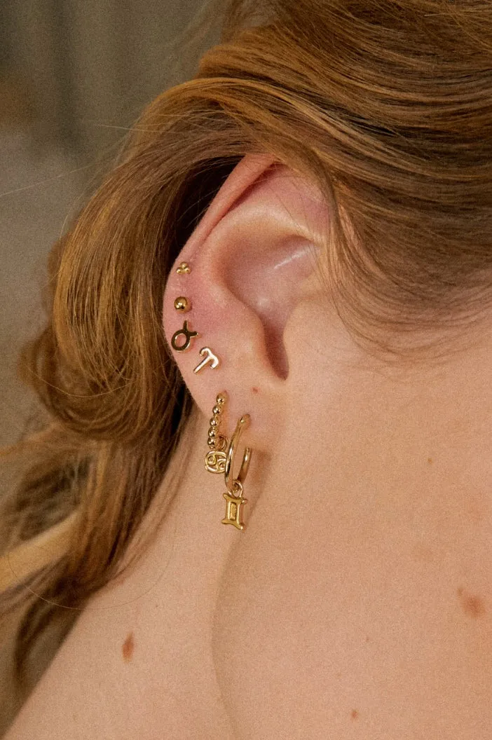Charms Zodiaque Capricorne