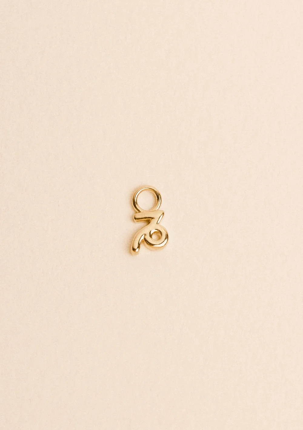 Charms Zodiaque Capricorne