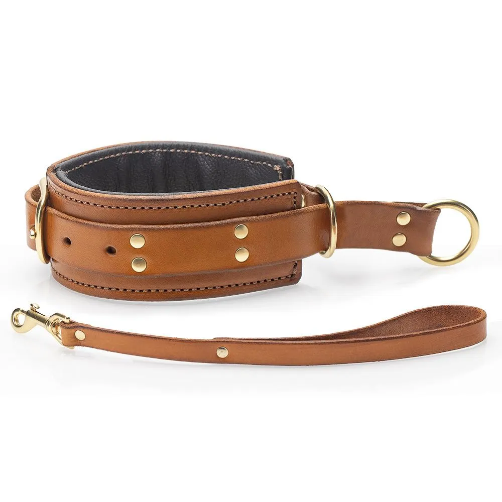 Classic Padded Choking Collar