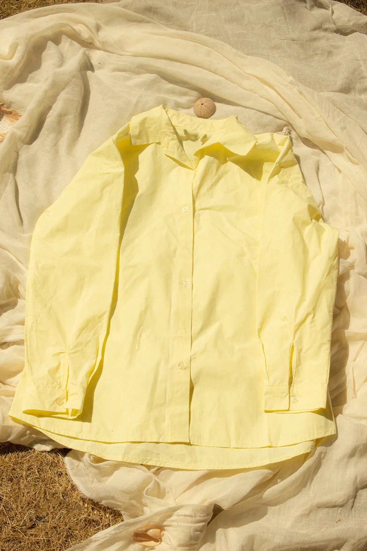 Crisp Colour Pop Relaxed Shirt