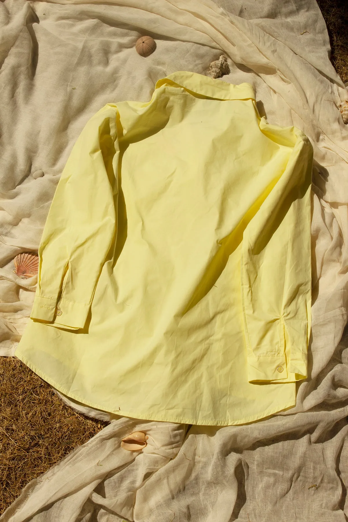 Crisp Colour Pop Relaxed Shirt