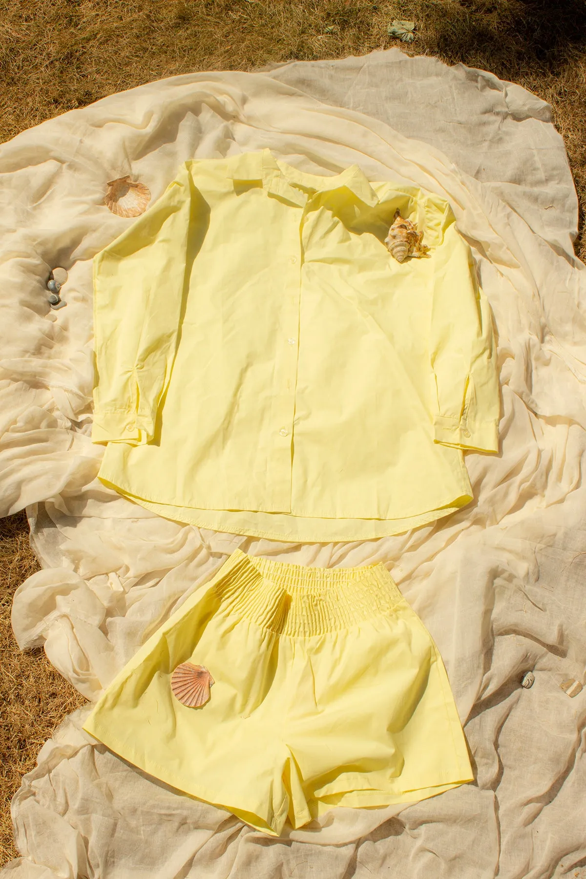 Crisp Colour Pop Relaxed Shirt