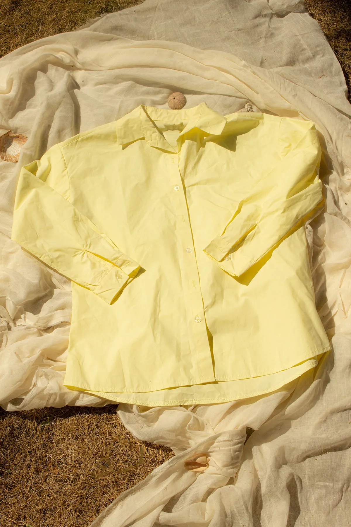 Crisp Colour Pop Relaxed Shirt