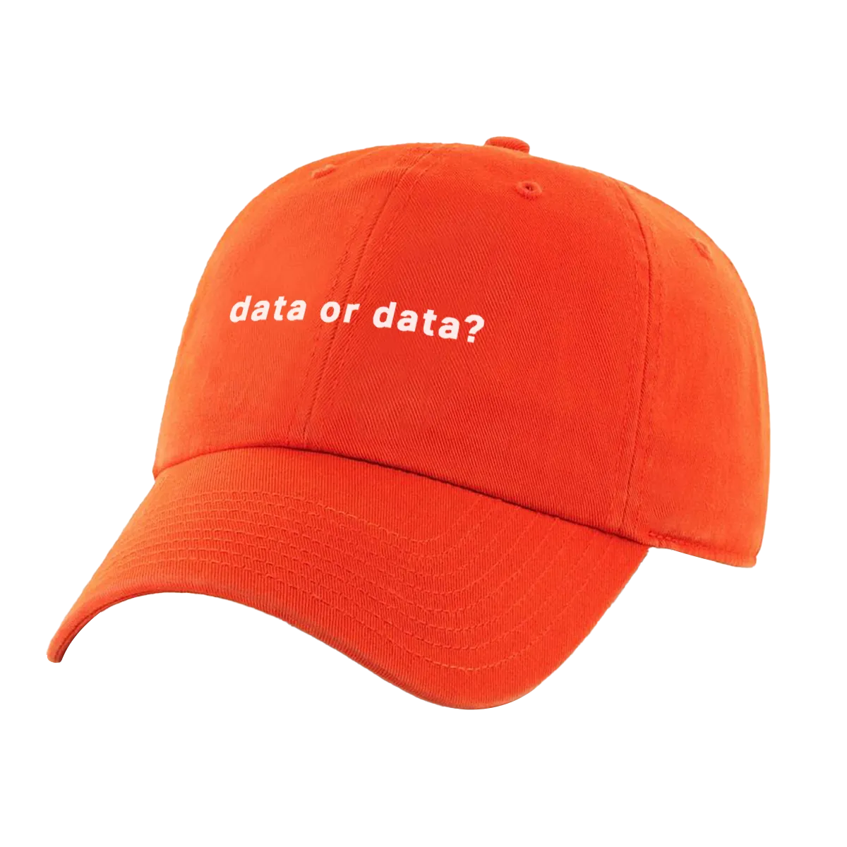Data or Data Hat