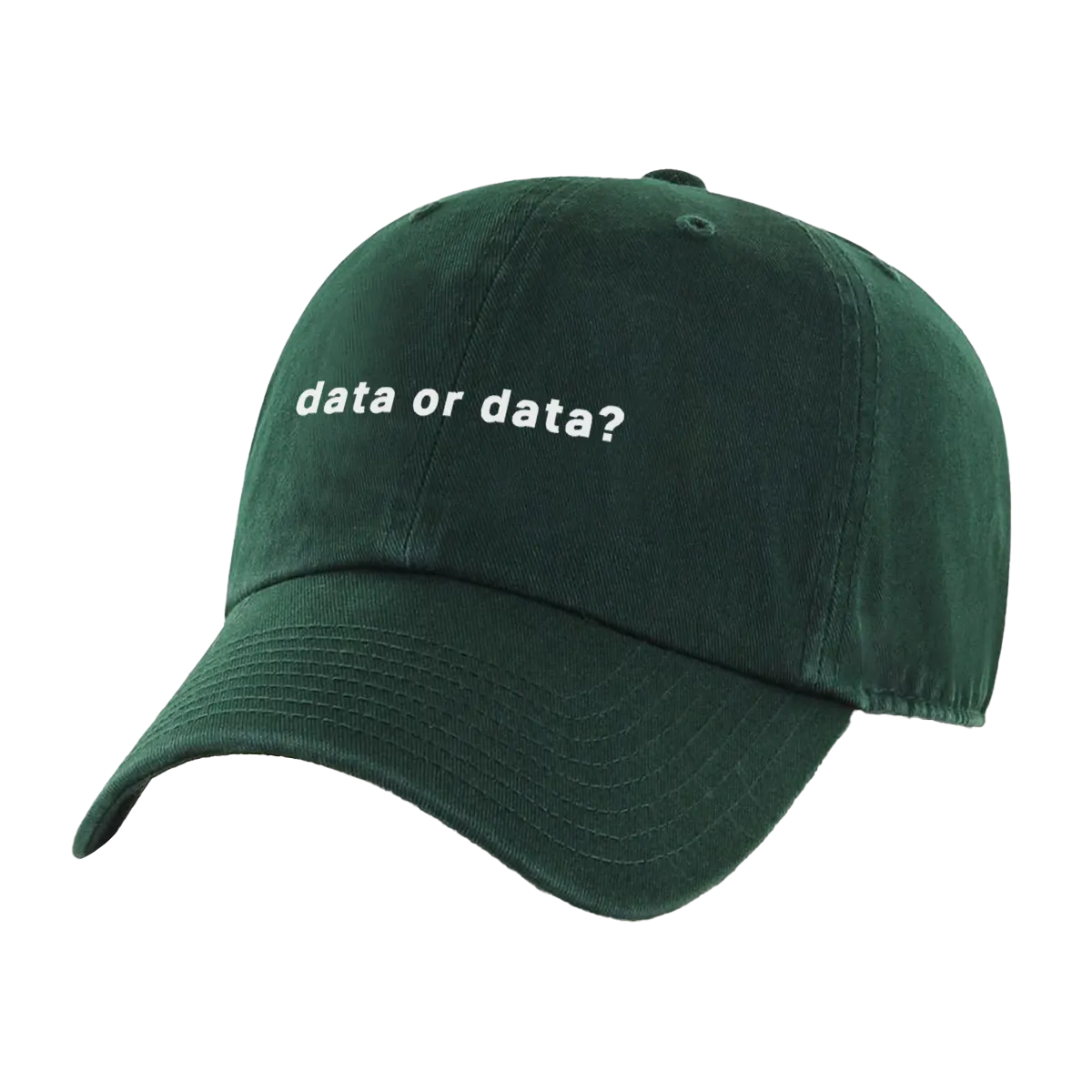 Data or Data Hat