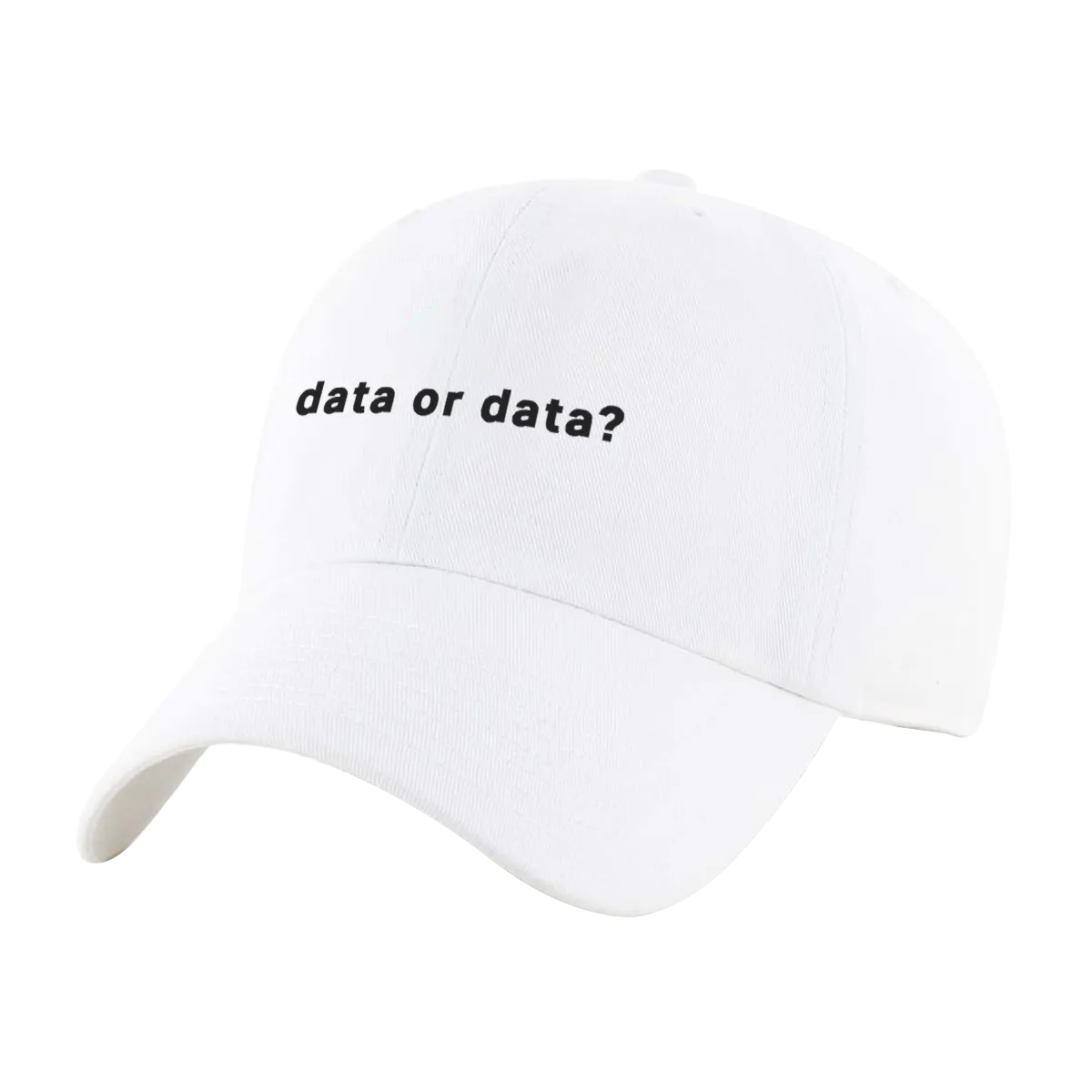 Data or Data Hat