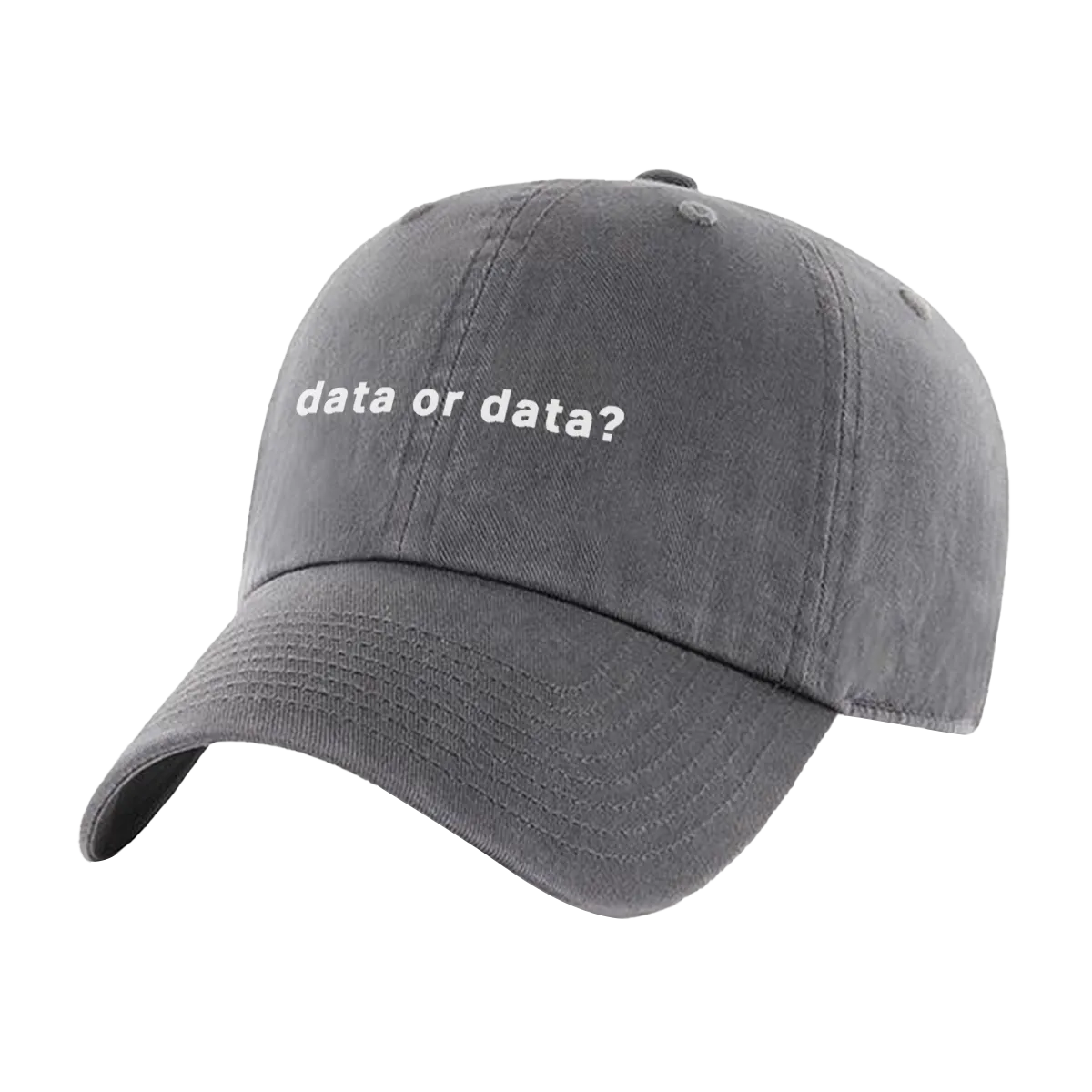 Data or Data Hat