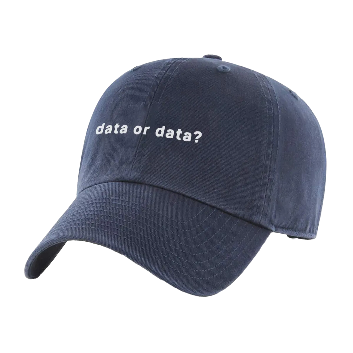 Data or Data Hat