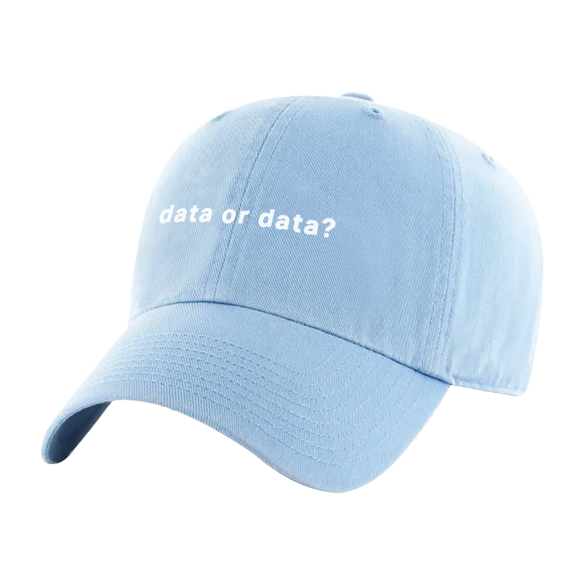 Data or Data Hat