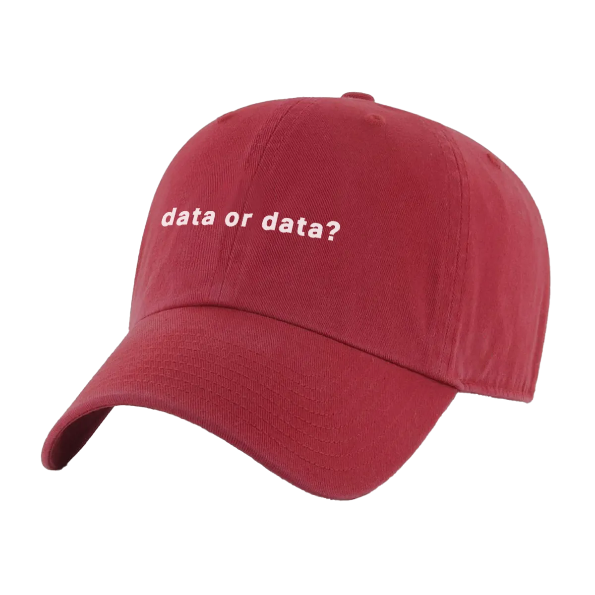 Data or Data Hat