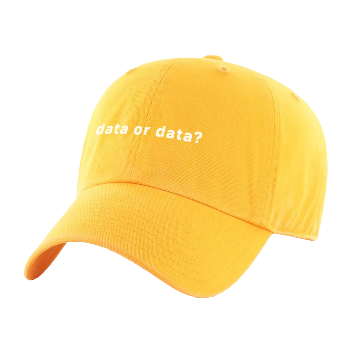 Data or Data Hat