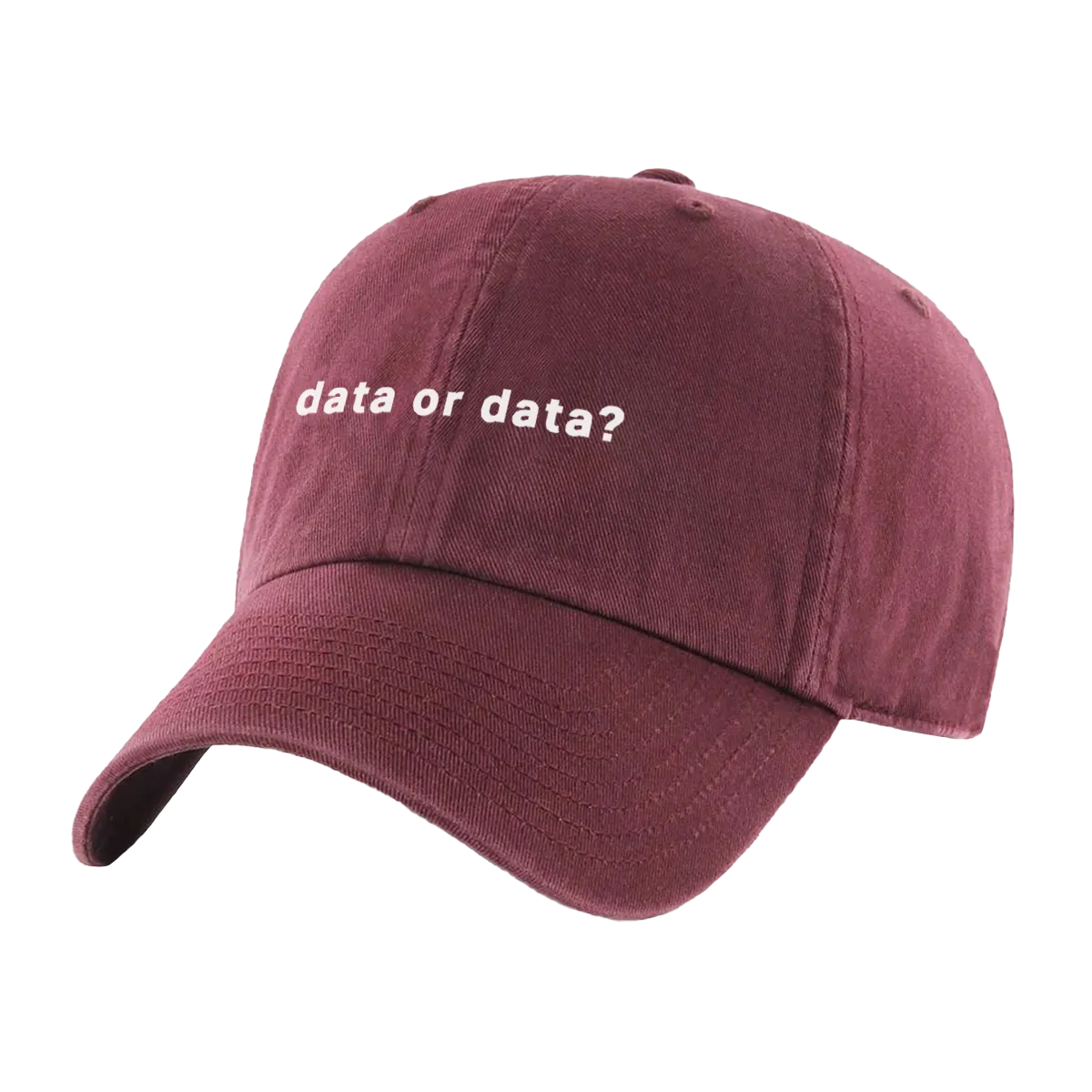 Data or Data Hat