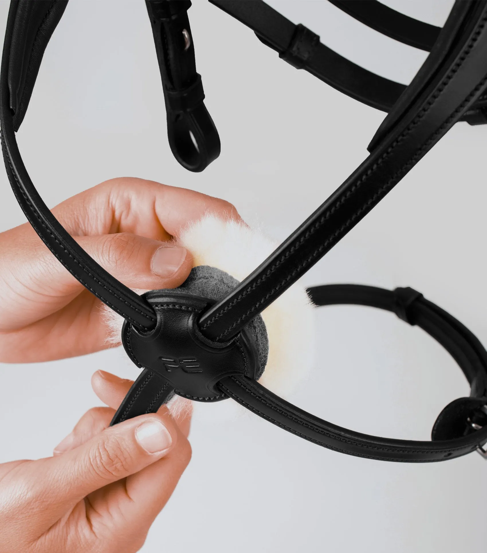 Glorioso Grackle Bridle Black
