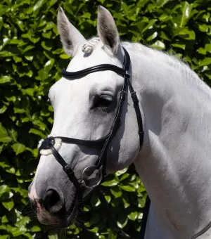 Glorioso Grackle Bridle Black