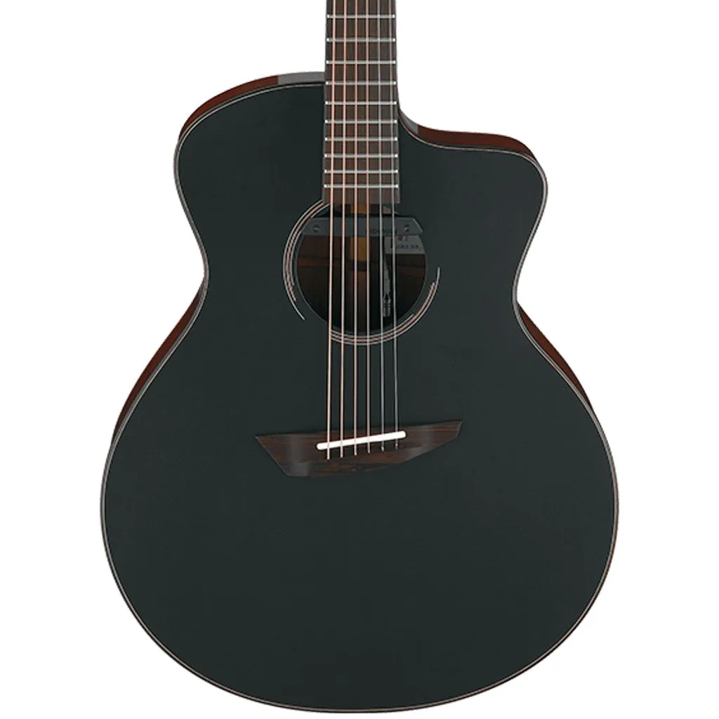Ibanez JGM10 BSN Jon Gomm Acoustic Guitar W/Case