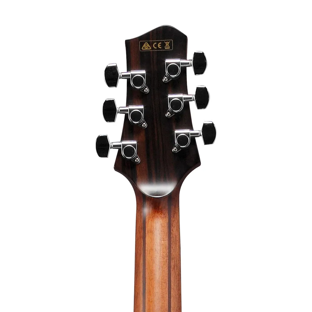 Ibanez PA300E-NSL Acoustic-Electric Guitar w/Natural Satin Top & Bag, Natural Low Gloss