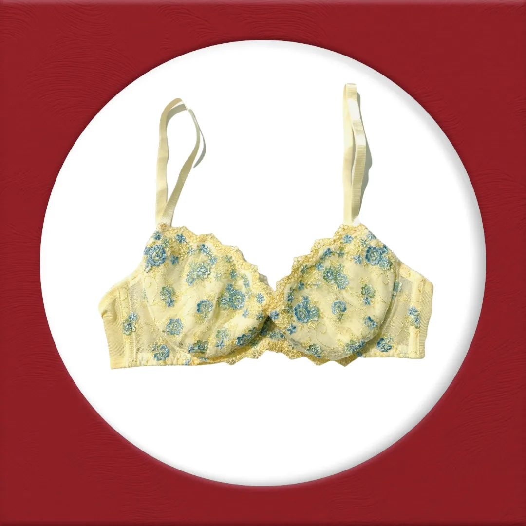 Imported Stocklot Branded  Net Pushup Bra - Underwired Padded Bra - Pack of 2