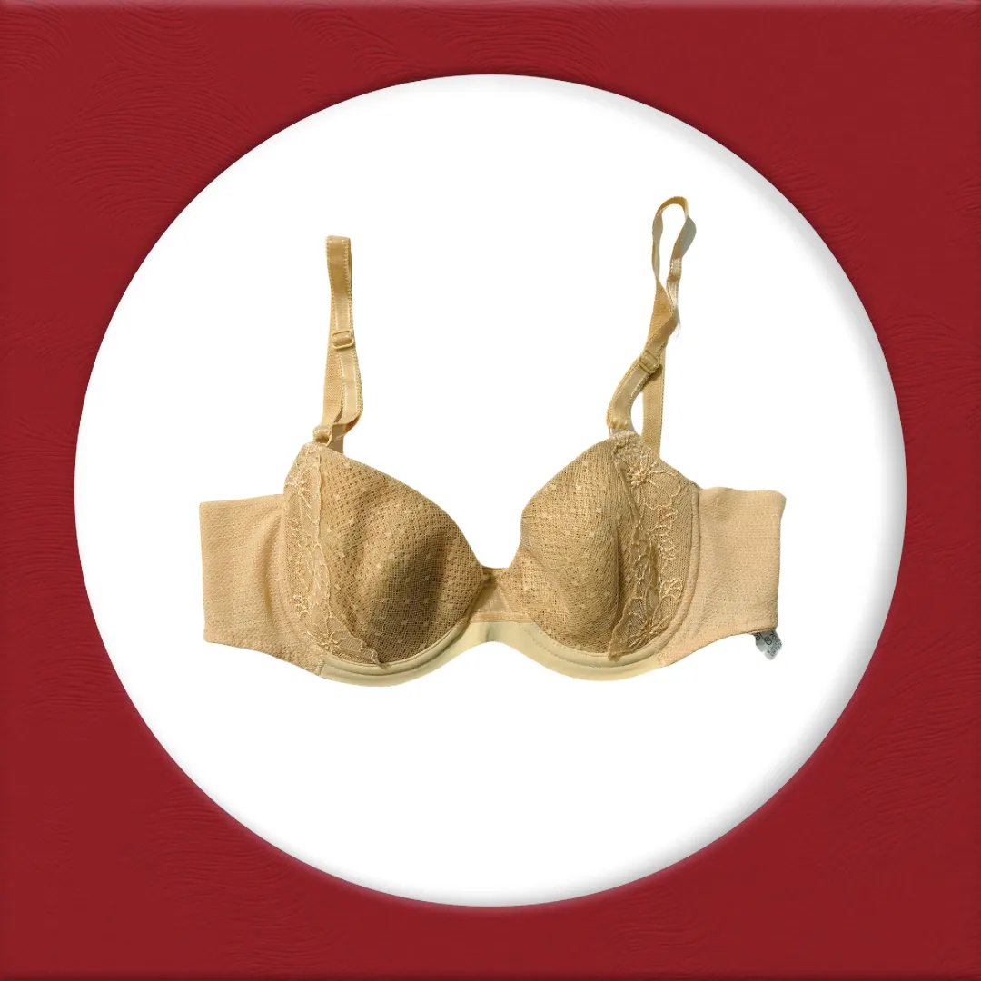 Imported Stocklot Branded  Net Pushup Bra - Underwired Padded Bra - Pack of 2