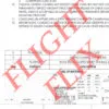 Minor Alteration Data Packet