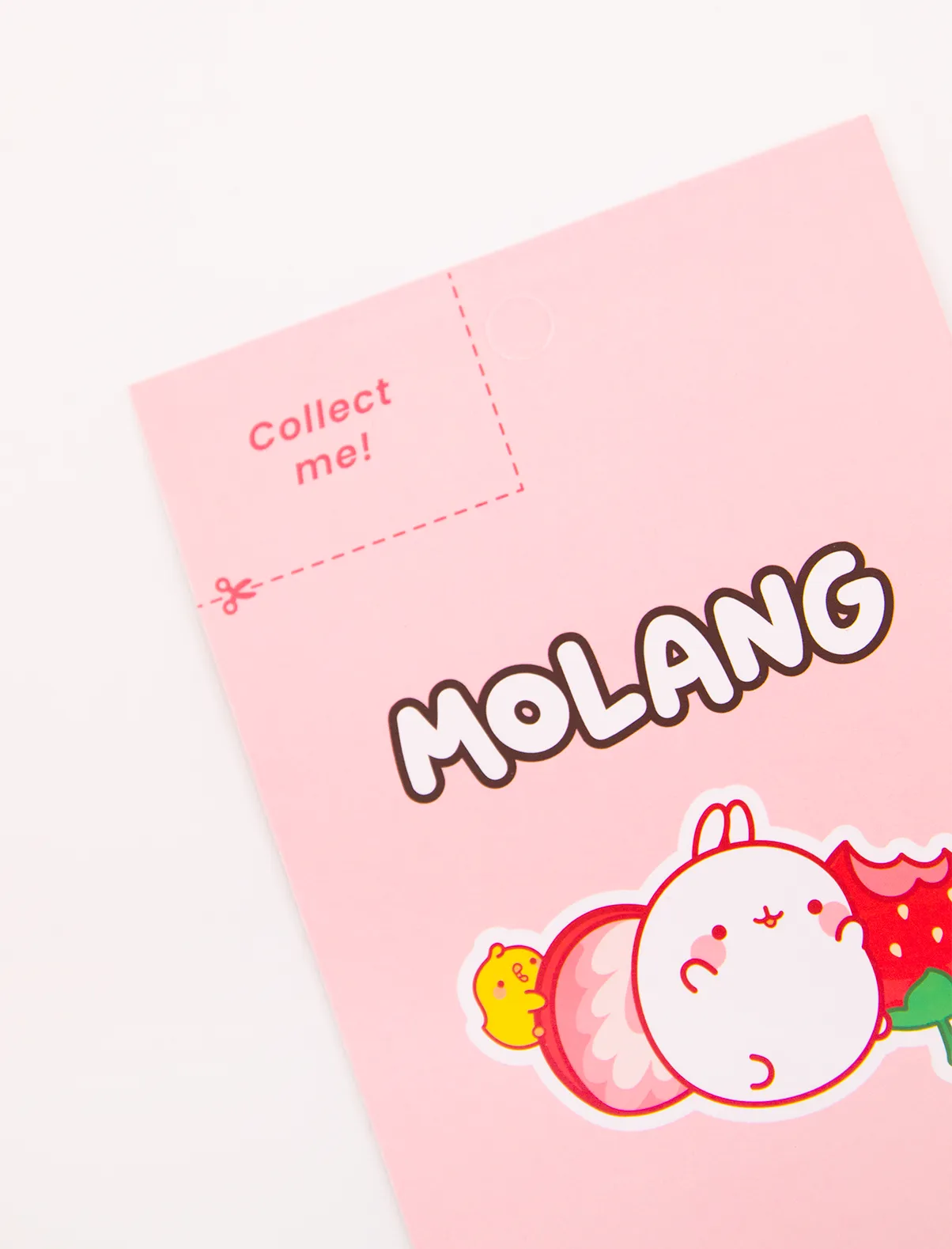 Molang 3D stickers board TUTTI FRUTTI