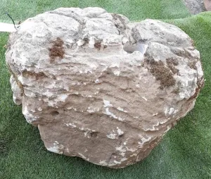 Moss Bubble Rock - 156