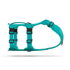 Muse™ harness - Skeena Teal