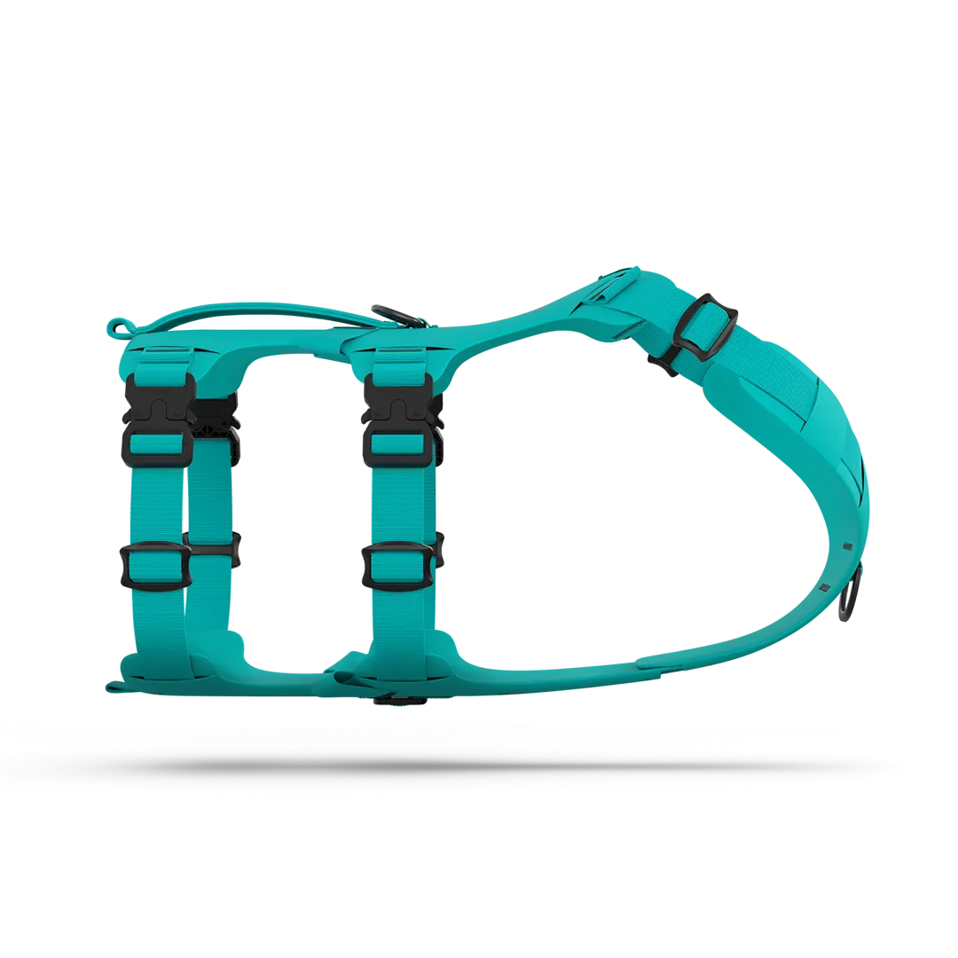 Muse™ harness - Skeena Teal