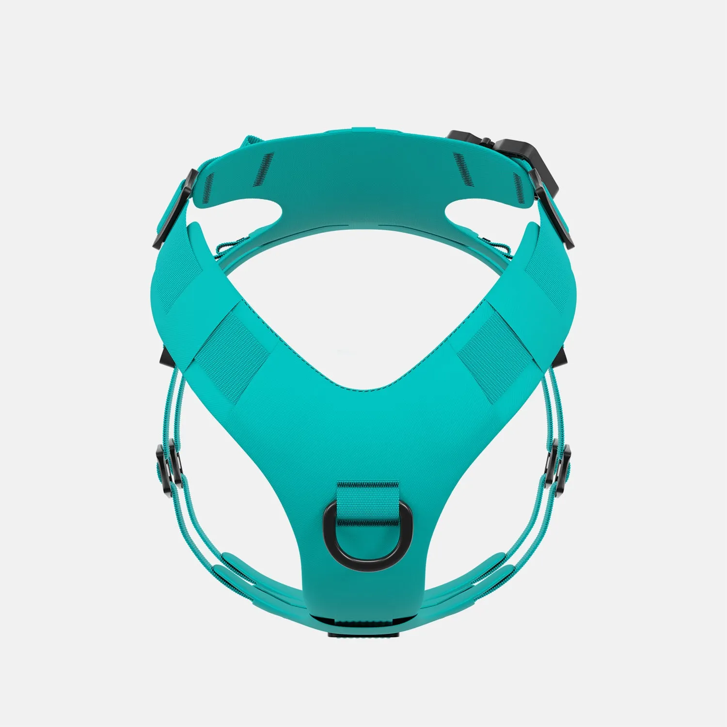 Muse™ harness - Skeena Teal