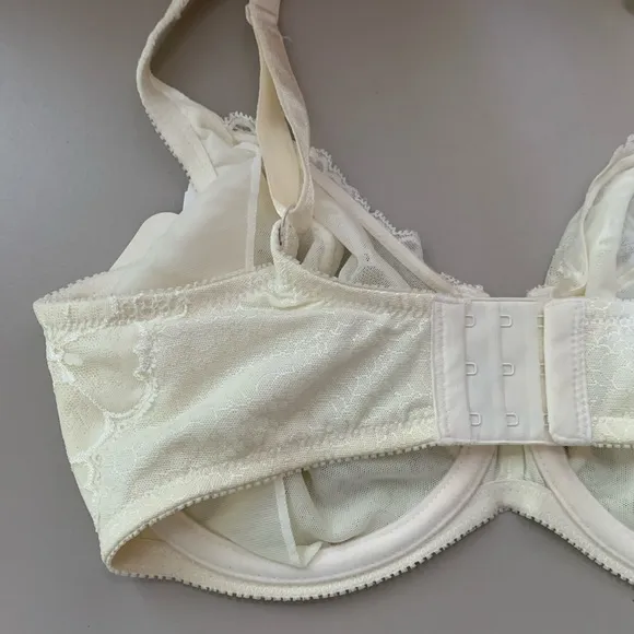 NWT Lunaire underwire Bra 34DDD