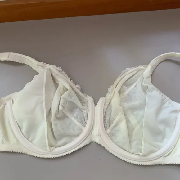 NWT Lunaire underwire Bra 34DDD