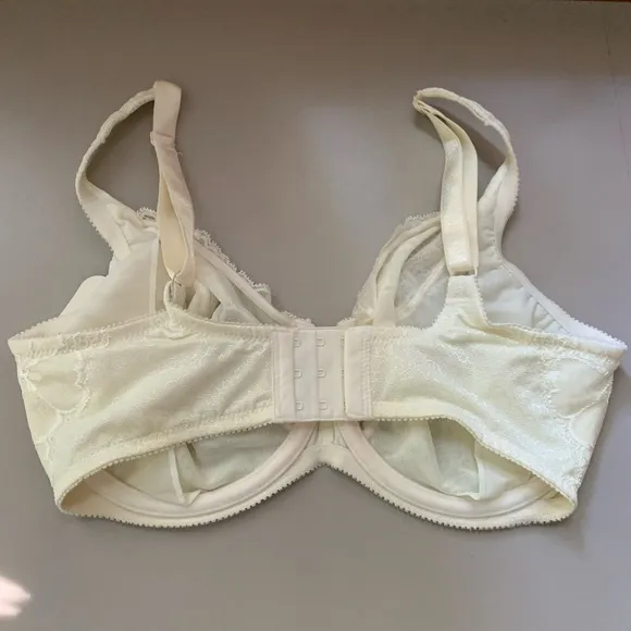 NWT Lunaire underwire Bra 34DDD