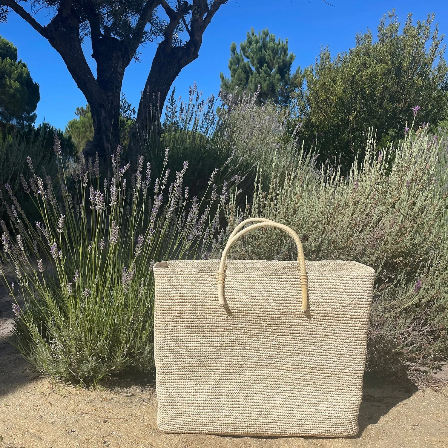 Para