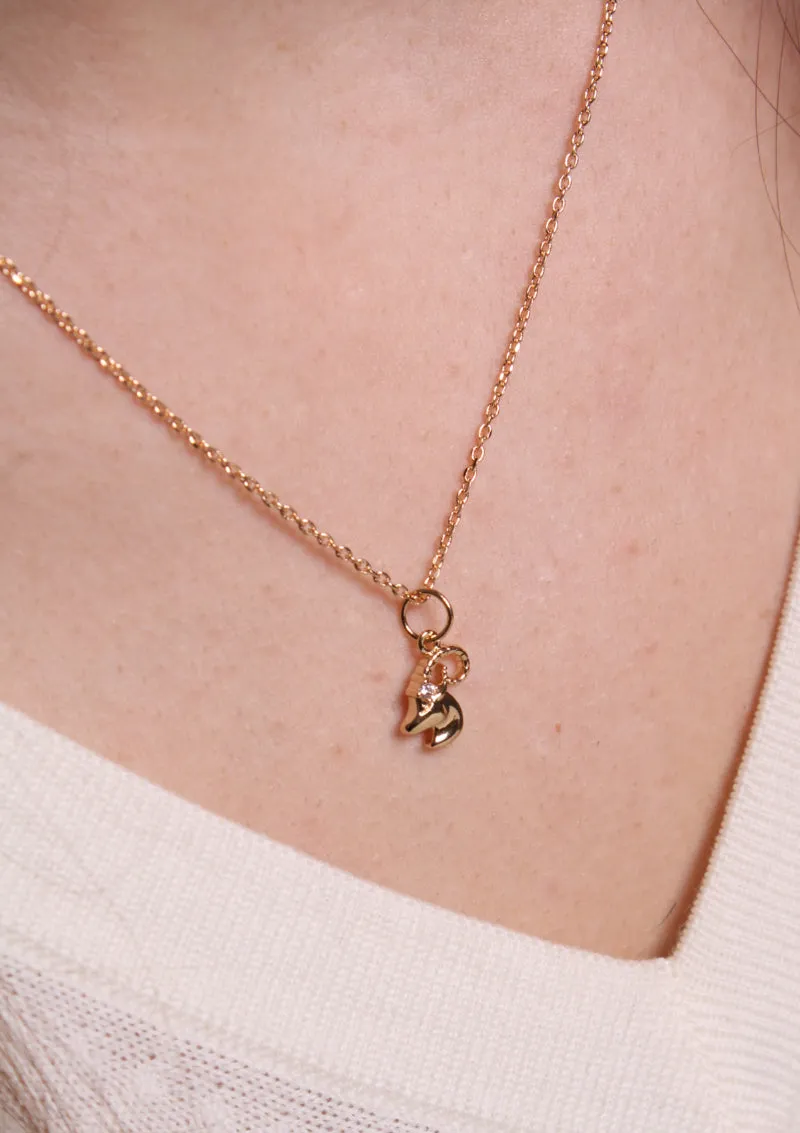 Pendentif Signe - Capricorne