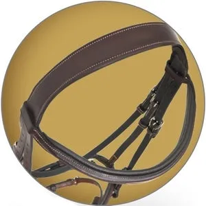 Pessoa PRO Fancy Stitched Raised Bridle