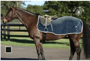 Polar Fleece Quarter Sheet