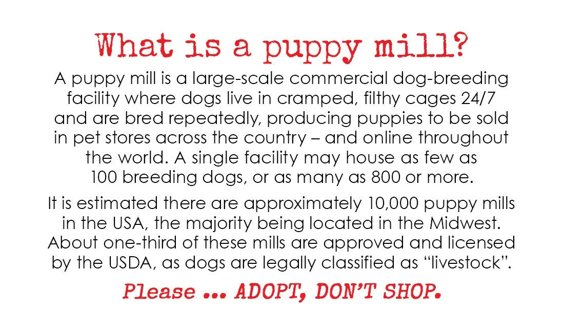 Puppy Mill Awareness Cards - Harley (200 pk)