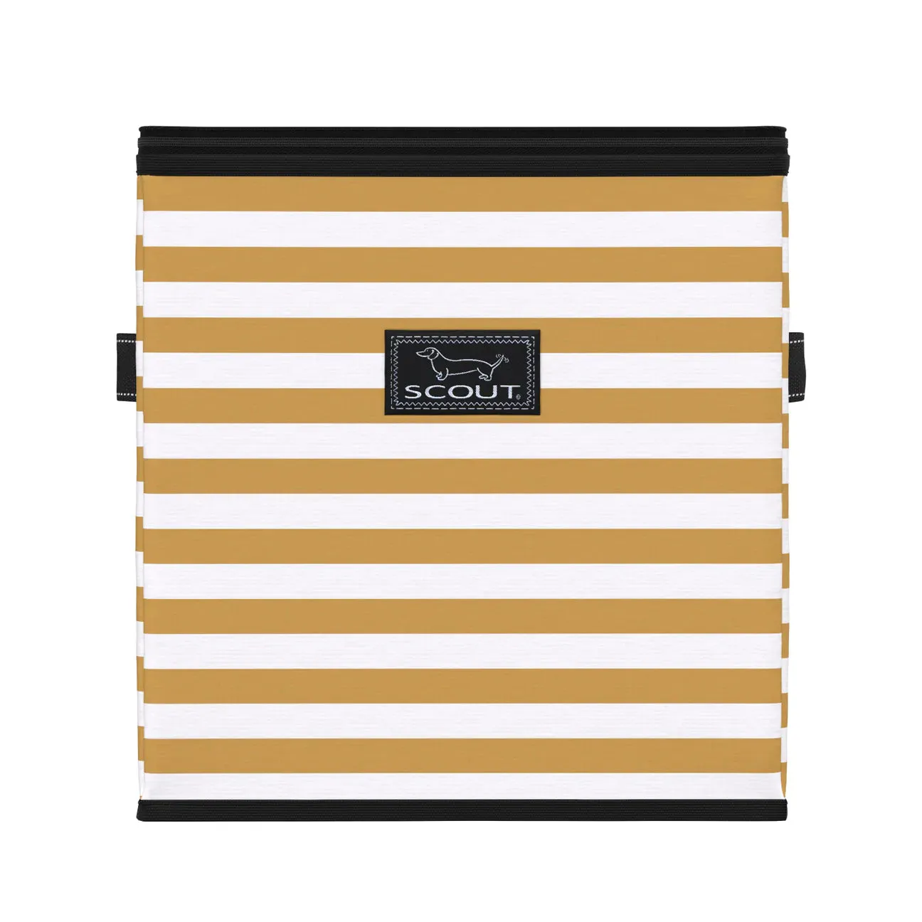 Scout Joy Box Gold Digger