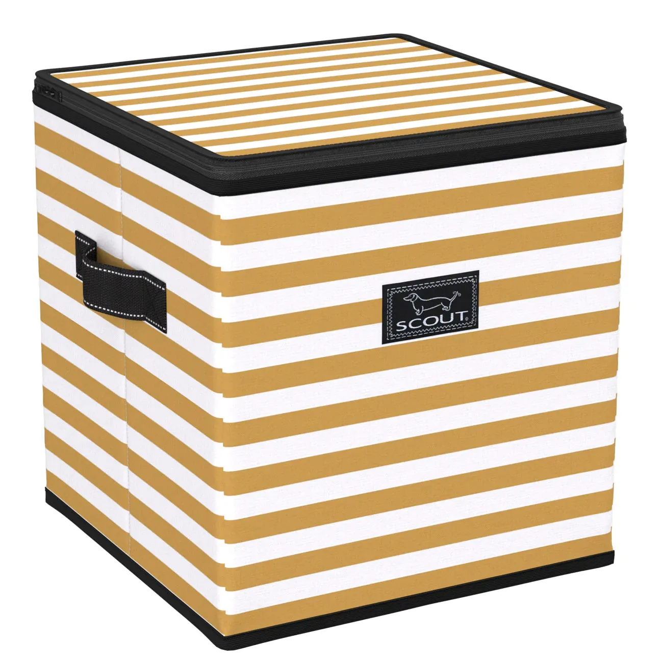 Scout Joy Box Gold Digger